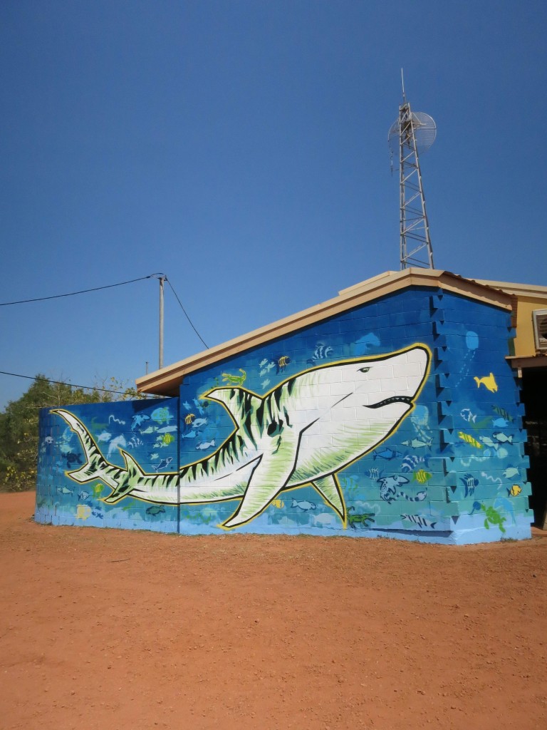 James Dodd Umbakumba Tiger Shark Mural 1