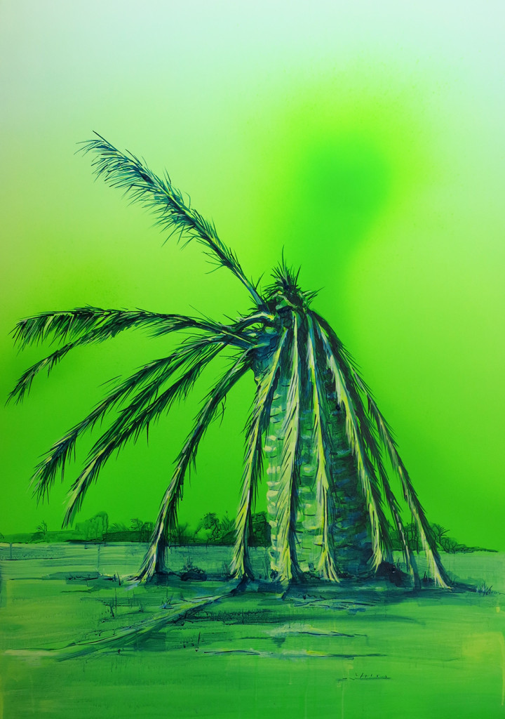 James Dodd Straggler Palm